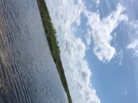 IMG 7986