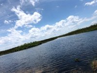 IMG 7987