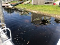 IMG 7991