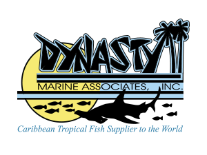 Image of Dynasty Marine Logo