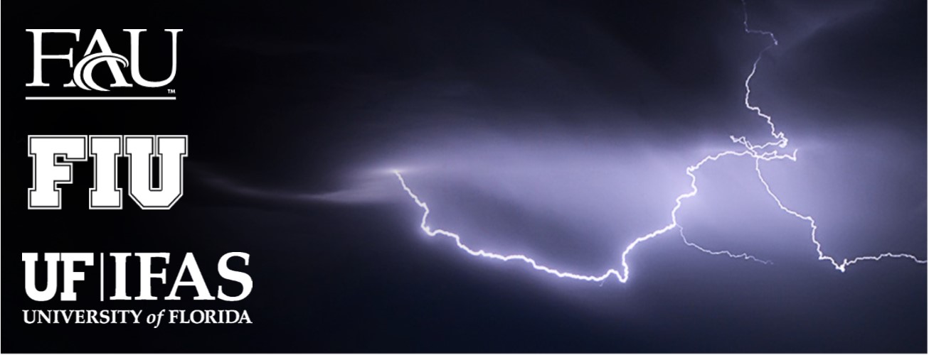 Lightning Rounds Lightning Rounds