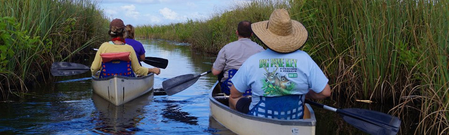 Loxahatchee Impoundment Landscape Assessment