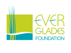 Everglades Foundation