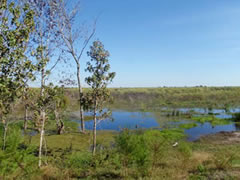 Turkey Creek Wetlands