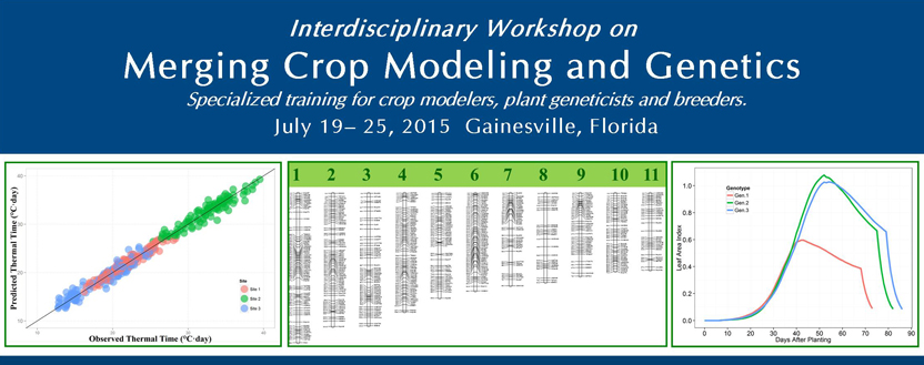 Merging Crop Modeling and Genetics