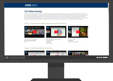 Thumbnail of ACES 2020 Website