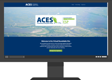 Thumbnail of ACES 2021 Website