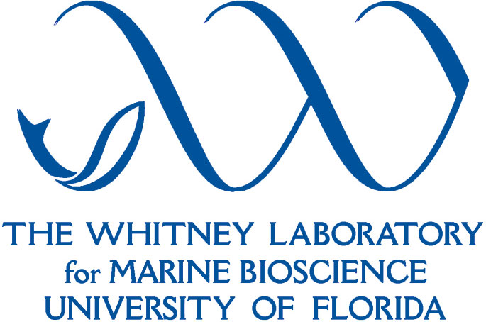 University of Florida, The Whitney Laboratory for Marine Bioscience