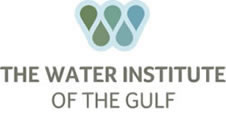 The Water Institute