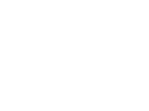 Florida Climate Institute