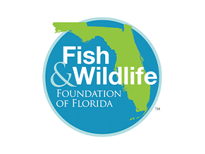 Fish & Wildlife Foundation of Florida