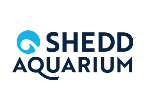 Shedd Aquarium