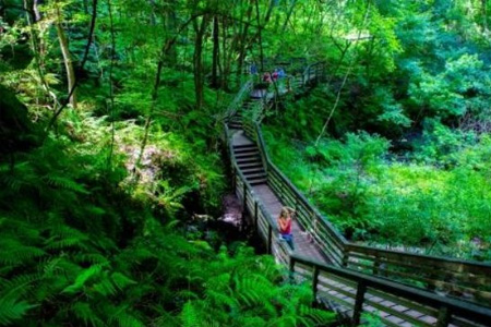 Devil’s Millhopper Geological State Park