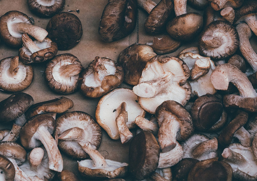 Shiitake mushrooms in box