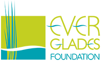 The Everglades Foundation