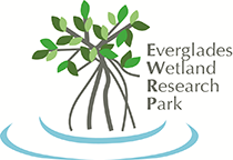 Everglades Wetlands Research Park