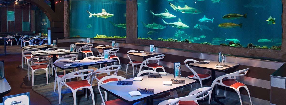 Shark's Underwater Grill at SeaWorld Orlando