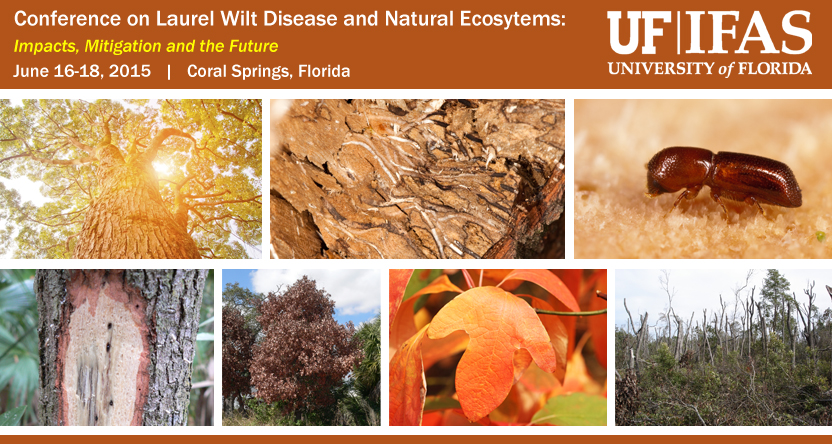 Conference on Laurel Wilt Disease and Natural Ecosystems