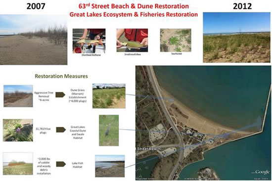 Beach & Dune Restoration