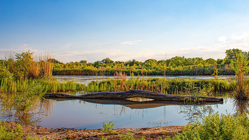 Valle de Oro National Wildlife Refuge