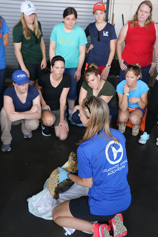 Sea Turtle Lecture at Clearwater Marine Aquarium