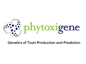 Phytoxigene