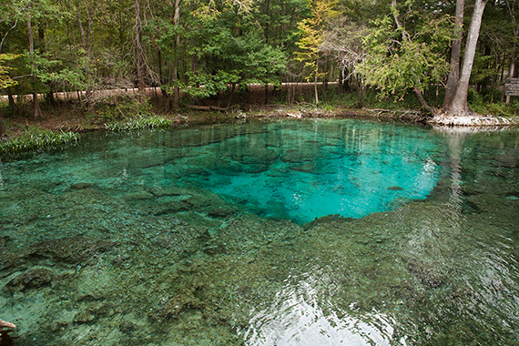 Florida Spring