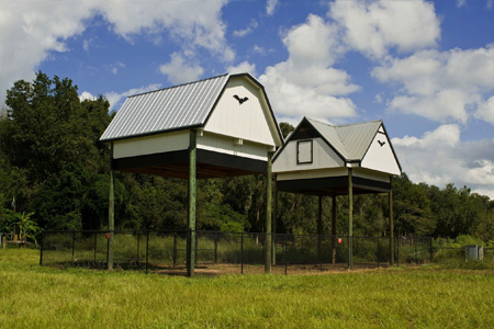 UF Bat Houses