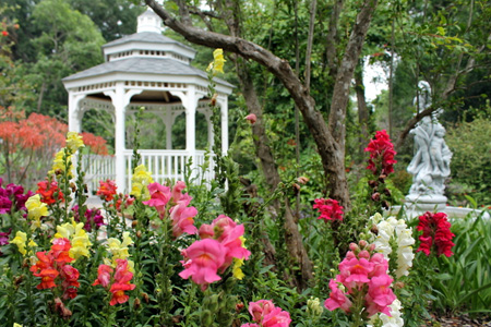 Kanapaha Botanical Gardens